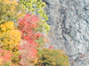 Fall colors around the parkway
