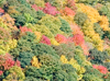 Fall colors around the parkway
