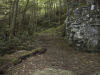 Looking up the trail to the top.