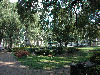 One of Savannah's many parks with fountain