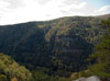 Looking up the canyon