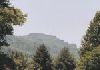 Profile of Grandfather Mountain