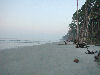 Looking down the beech at Hunting island.