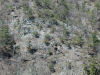 hill side below dam