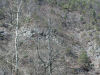 hill side below dam
