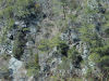 hill side by falls