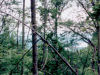 A view of the lake from upon the mountain