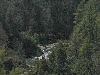 View into Linville gorge
