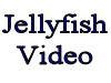 jellyfish video.