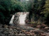 Laurel falls