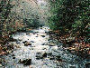 Another view of the creek, which is stocked.