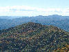 View of Licklog ridge