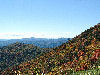 View of Licklog ridge