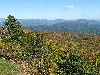 View of Licklog ridge