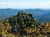 view of Licklog ridge