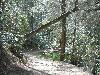 View of the path to the visitors center