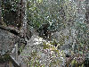 View of the path to the upper falls lookout
