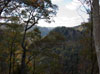 looking down the gorge