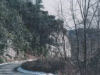 Road into valley near Brown Mtn.