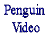 penguin video.