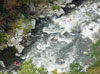 Kyakers on the river in the gorge