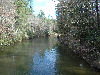 View of the river above falls