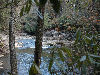 View of the river above falls