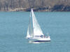 Sailboat on the lake