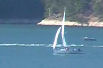 Sailboats on Watauga Lake.