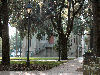 Historic church of Savannah