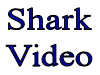 shark video.