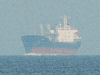 A ship approaching Savannah