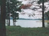 Looking out from Little Oak