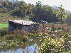 A couple of old buildings along a swamp.
