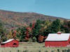 Picturesque barn against fall colors.