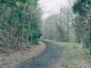 One of the bends in the trail.