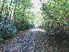 Looking down a long straight section.