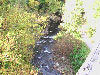 Looking down into the creek from the highest bridge on the trail.
