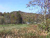 A barn sits at the edge of a meadow.