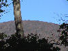 The beginning of the fall change can be seen on this hill side.