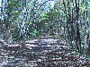 Looking up the trail on a cool October morning.