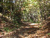A cool sunny October afternoon on the trail.