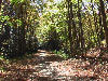 A cool sunny October afternoon on the trail.