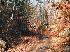 Scenic curves along the trail.