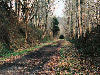 Looking down the trail.