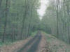 Usually can find peaceful surroundings.