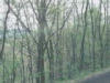 View of mountains in left rear.