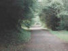 Some areas have benches and info boards.