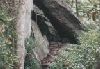 Under Grandfather Mountain viaduct
