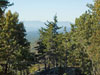 Eastward view from Grandfather Mountain